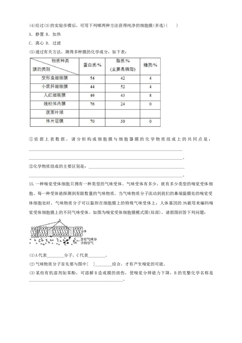 3.1细胞膜的结构和功能练习（1）（原卷版）_高中九科知识点归纳。_人教版高中Word电子版试卷练习试题知识点全科_高中生物试卷习题_生物必修_必修1_2.同步练习（第二套）24份