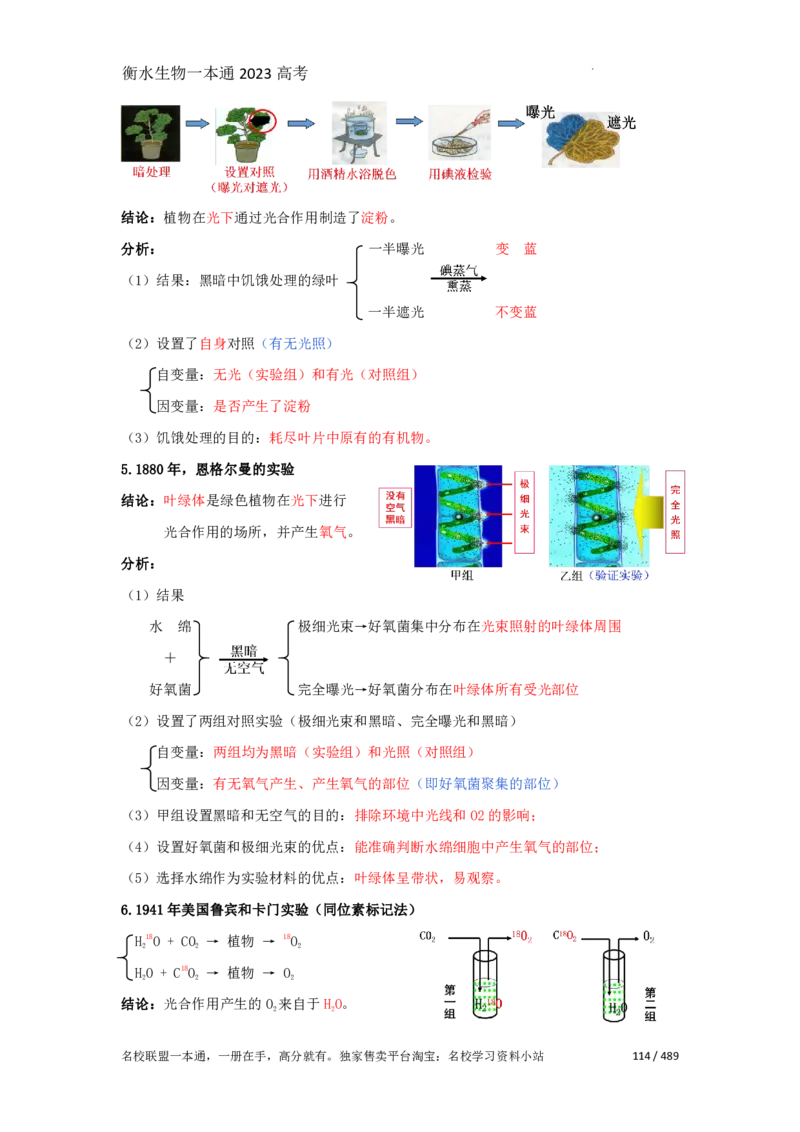 《衡水一本通》生物+PDF版含解析_高中九科知识点归纳。_《高中知识点汇编》_全科《衡水一本通》