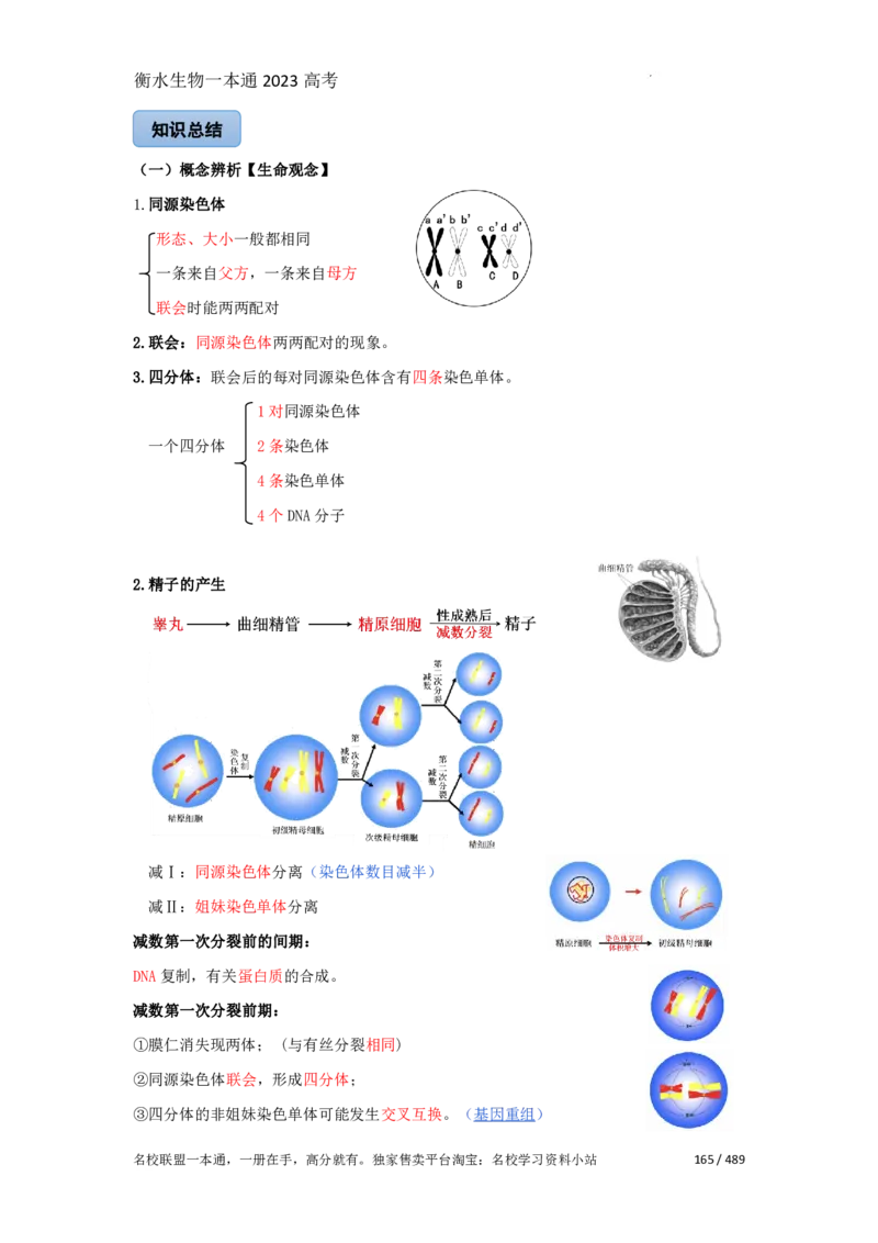 《衡水一本通》生物+PDF版含解析_高中九科知识点归纳。_《高中知识点汇编》_全科《衡水一本通》