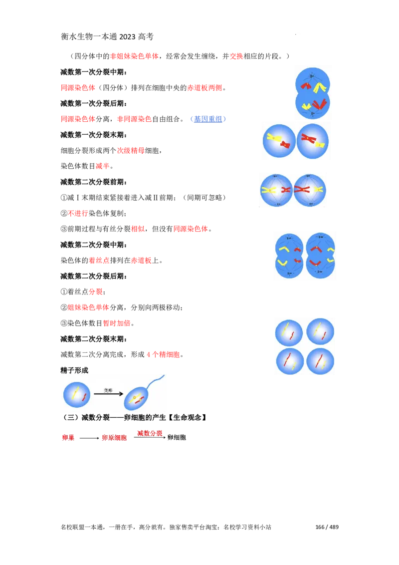 《衡水一本通》生物+PDF版含解析_高中九科知识点归纳。_《高中知识点汇编》_全科《衡水一本通》