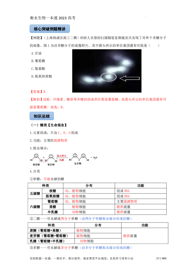 《衡水一本通》生物+PDF版含解析_高中九科知识点归纳。_《高中知识点汇编》_全科《衡水一本通》