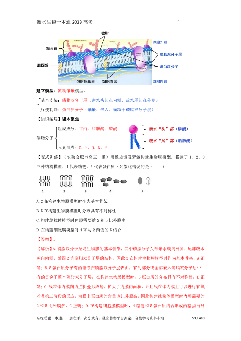 《衡水一本通》生物+PDF版含解析_高中九科知识点归纳。_《高中知识点汇编》_全科《衡水一本通》