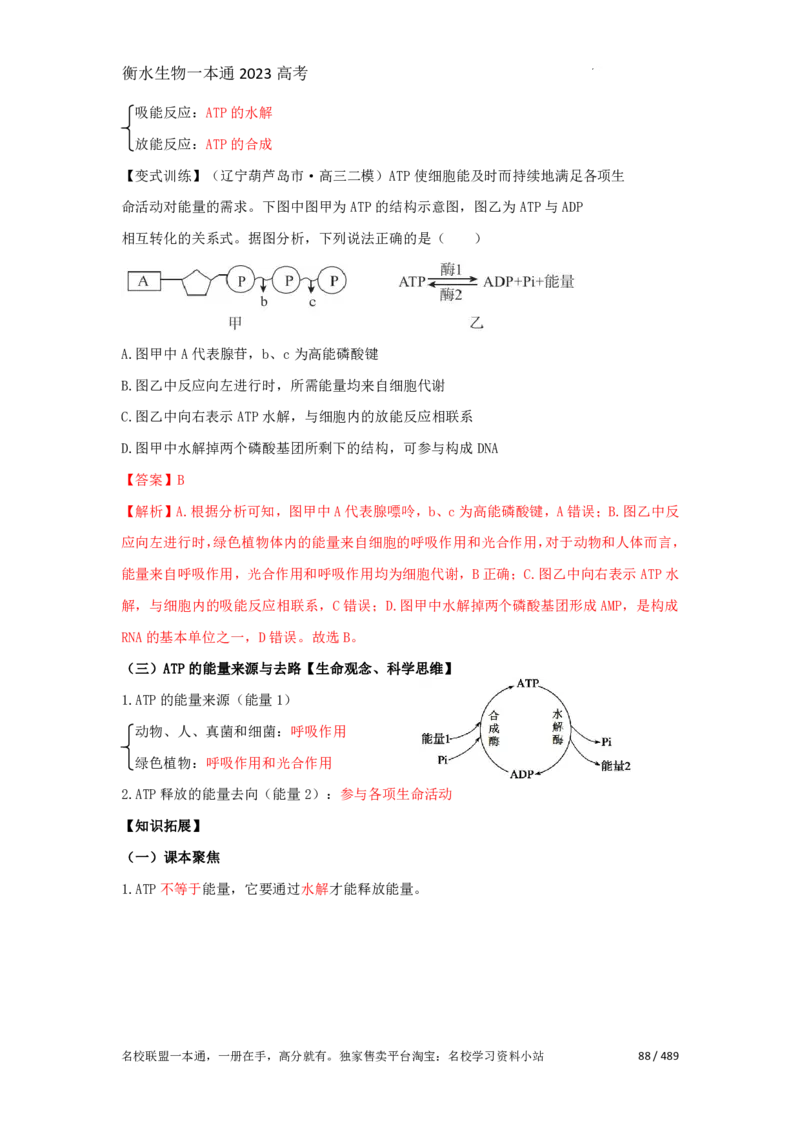 《衡水一本通》生物+PDF版含解析_高中九科知识点归纳。_《高中知识点汇编》_全科《衡水一本通》