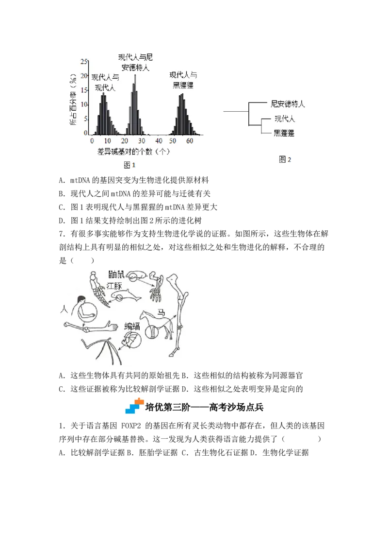 6.1生物有共同祖先的证据（原卷版）_高中九科知识点归纳。_人教版高中Word电子版试卷练习试题知识点全科_高中生物试卷习题_生物必修_必修2_人教版生物必修二同步练习（057份）