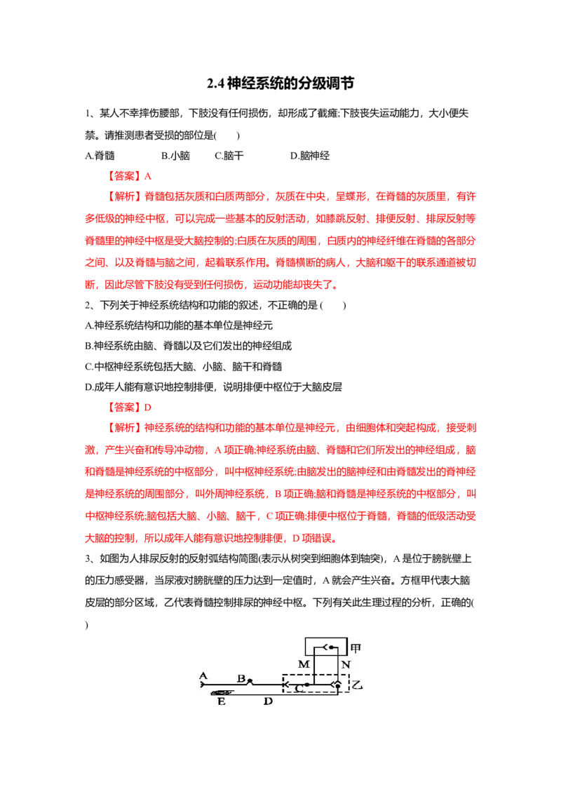 2.4神经系统的分级调节（练习）（解析版）_高中九科知识点归纳。_人教版高中Word电子版试卷练习试题知识点全科_高中生物试卷习题_生物选修_选修1_2.同步练习（第二套）