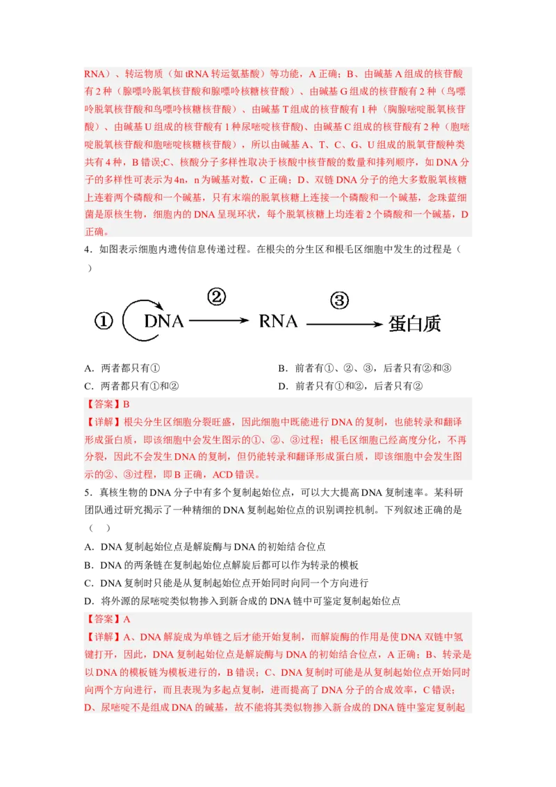 4.1基因指导蛋白质的合成（解析版）_高中九科知识点归纳。_人教版高中Word电子版试卷练习试题知识点全科_高中生物试卷习题_生物必修_必修2_人教版生物必修二同步练习（057份）