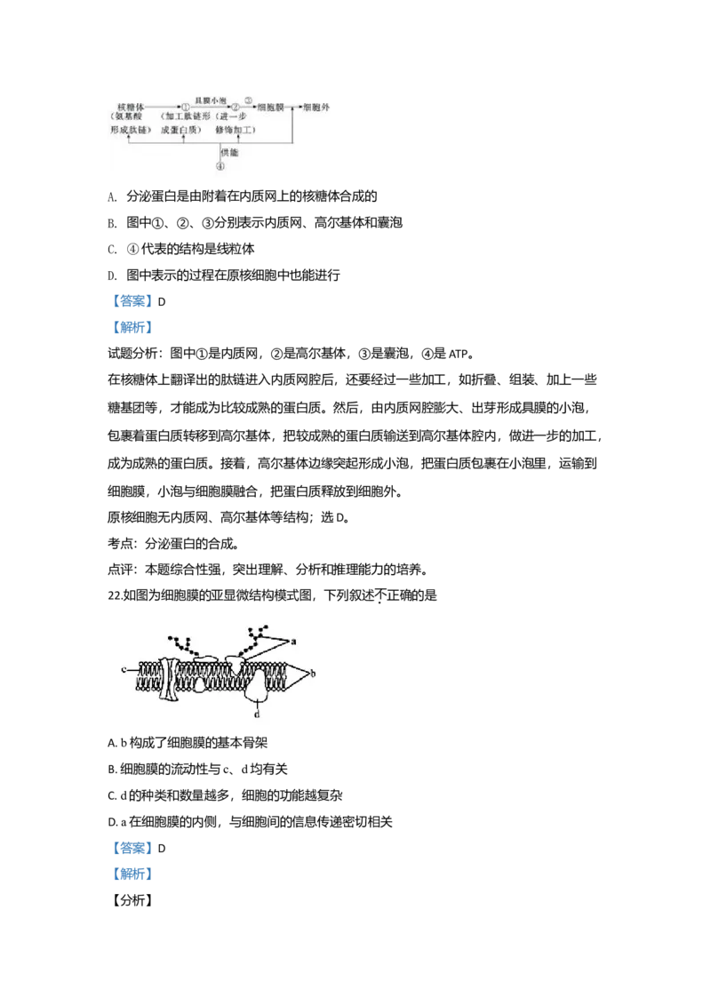 北京市101中学高一上学期期中考试生物试题Word版含解析_高中九科知识点归纳。_人教版高中Word电子版试卷练习试题知识点全科_高中生物试卷习题_生物必修_必修1