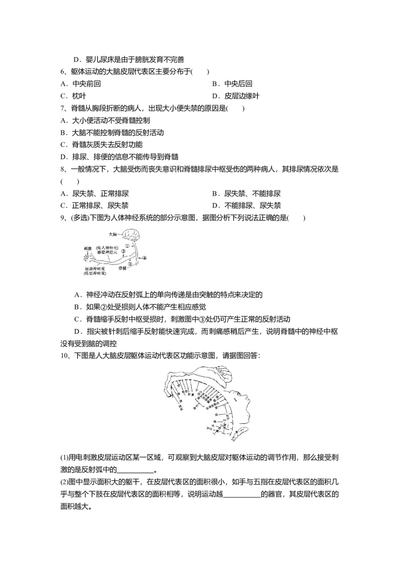 2.4神经系统的分级调节（练习）（原卷版）_高中九科知识点归纳。_人教版高中Word电子版试卷练习试题知识点全科_高中生物试卷习题_生物选修_选修1_2.同步练习（第二套）