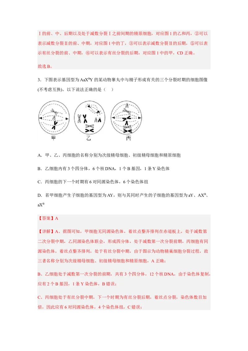 2.1减数分裂和受精作用（解析版）_高中九科知识点归纳。_人教版高中Word电子版试卷练习试题知识点全科_高中生物试卷习题_生物必修_必修2_人教版生物必修二同步练习（057份）