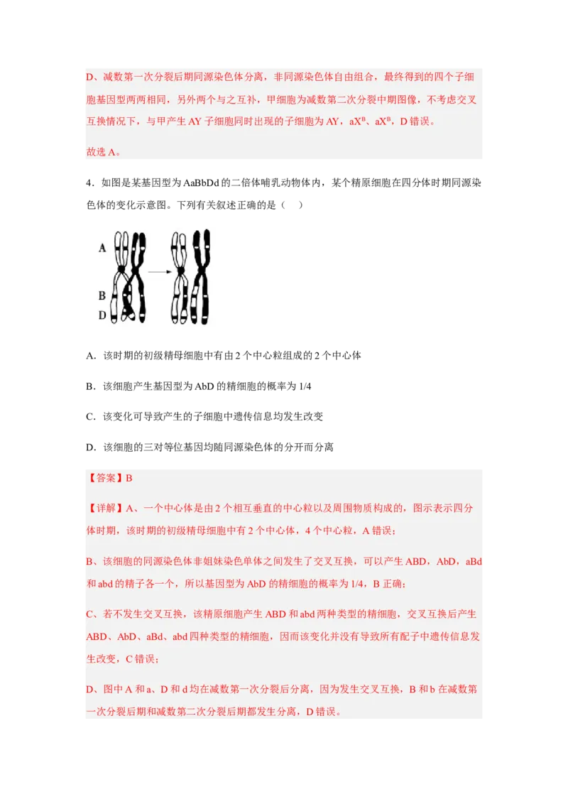 2.1减数分裂和受精作用（解析版）_高中九科知识点归纳。_人教版高中Word电子版试卷练习试题知识点全科_高中生物试卷习题_生物必修_必修2_人教版生物必修二同步练习（057份）