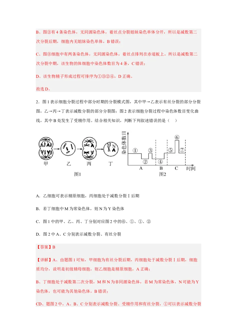 2.1减数分裂和受精作用（解析版）_高中九科知识点归纳。_人教版高中Word电子版试卷练习试题知识点全科_高中生物试卷习题_生物必修_必修2_人教版生物必修二同步练习（057份）