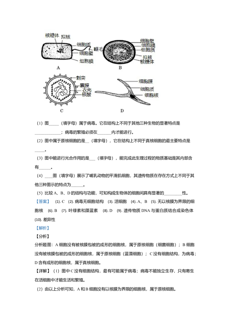 北京市二十二中高一上学期期中考试生物试题Word版含解析_高中九科知识点归纳。_人教版高中Word电子版试卷练习试题知识点全科_高中生物试卷习题_生物必修_必修1