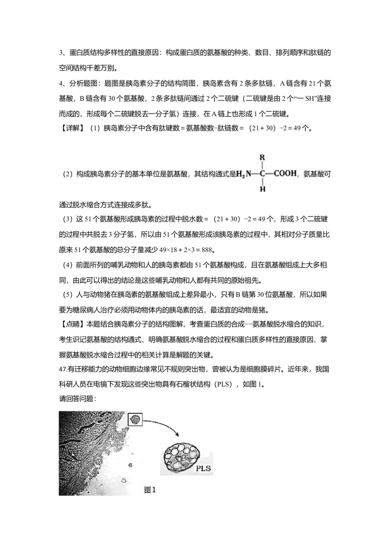 北京市二十二中高一上学期期中考试生物试题Word版含解析_高中九科知识点归纳。_人教版高中Word电子版试卷练习试题知识点全科_高中生物试卷习题_生物必修_必修1