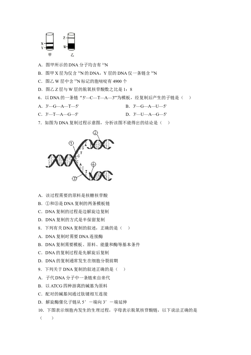 3.3DNA的复制（原卷版）_高中九科知识点归纳。_人教版高中Word电子版试卷练习试题知识点全科_高中生物试卷习题_生物必修_必修2_人教版生物必修二同步练习（057份）_2、课后培优练