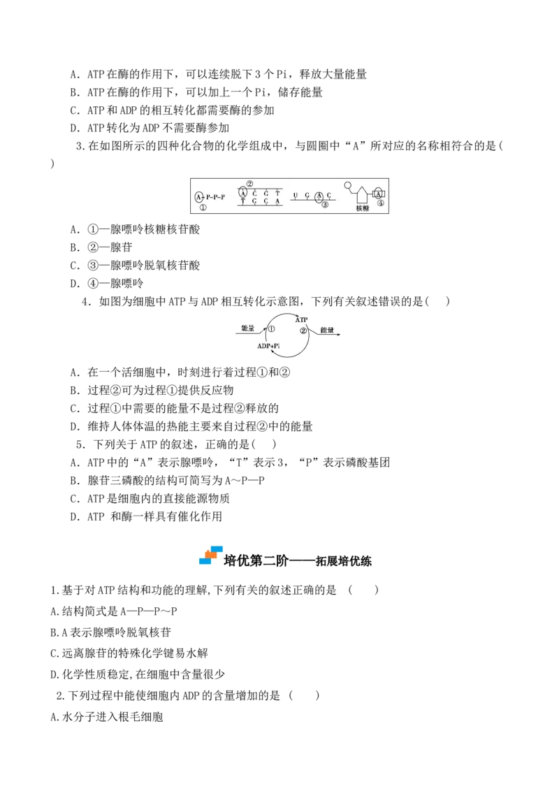 5.2细胞的能量货币&ldquo;ATP&rdquo;-高一生物上学期课后培优分级练（2019人教版必修1）（原卷版）_高中九科知识点归纳。_人教版高中Word电子版试卷练习试题知识点全科_高中生物试卷习题_必修1