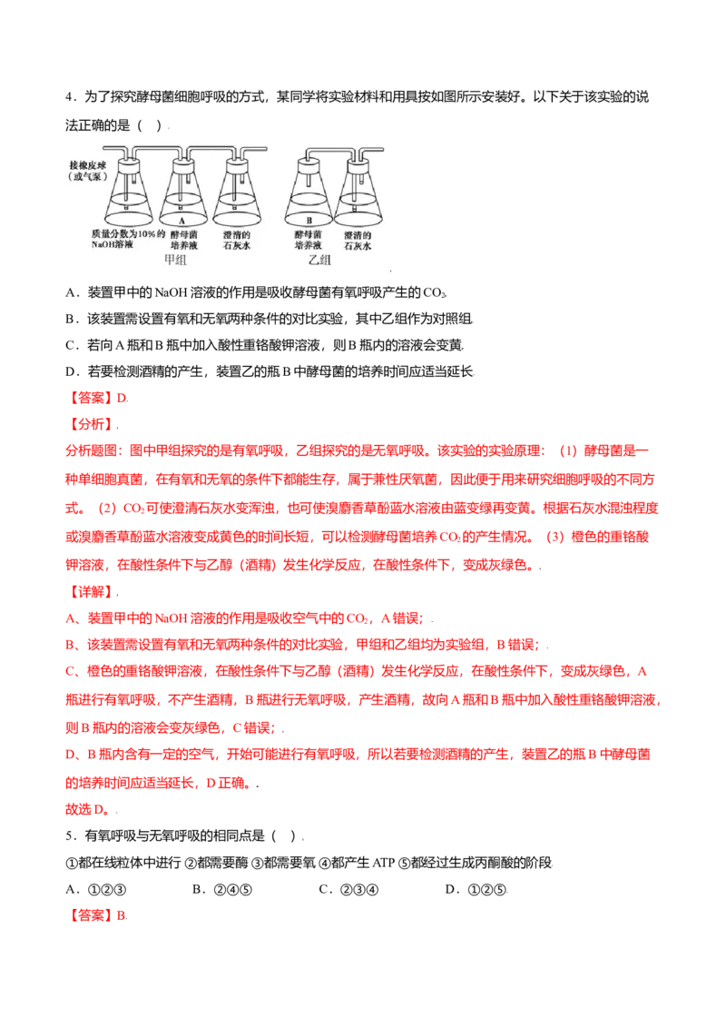 5.3细胞呼吸的原理和应用-高一生物课后培优练（人教版2019必修1）（解析版）_高中九科知识点归纳。_人教版高中Word电子版试卷练习试题知识点全科_高中生物试卷习题_生物必修_必修1