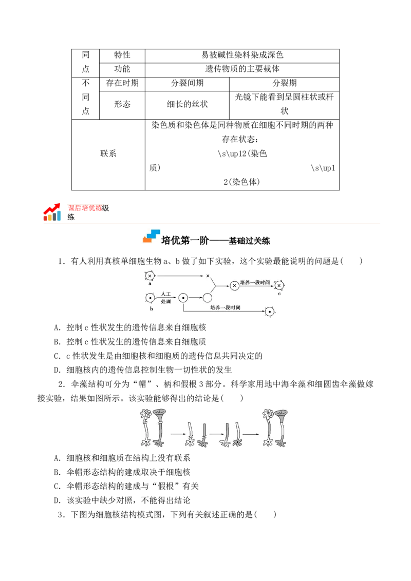 3.3细胞核的结构和功能-高一生物上学期课后培优分级练（2019人教版必修1）（原卷版）_高中九科知识点归纳。_人教版高中Word电子版试卷练习试题知识点全科_高中生物试卷习题_生物必修