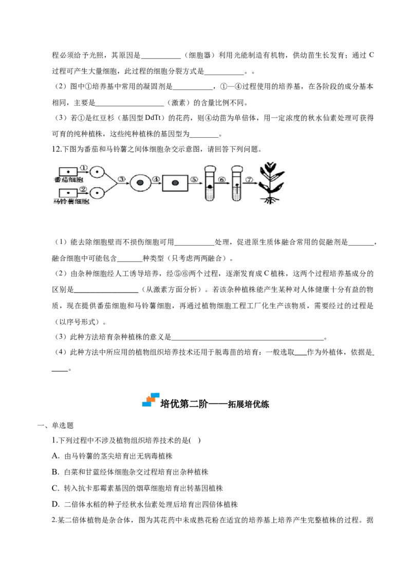 2.1植物细胞工程-高二生物课后培优分级练（人教版2019选择性必修3）（原卷版）_高中九科知识点归纳。_人教版高中Word电子版试卷练习试题知识点全科_高中生物试卷习题_生物选修_选修3