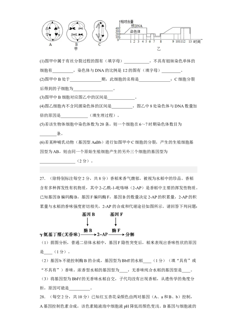 3月份检测卷02（提升练）（原卷版）_高中九科知识点归纳。_人教版高中Word电子版试卷练习试题知识点全科_高中生物试卷习题_生物必修_必修2_人教版生物必修二同步练习（057份）