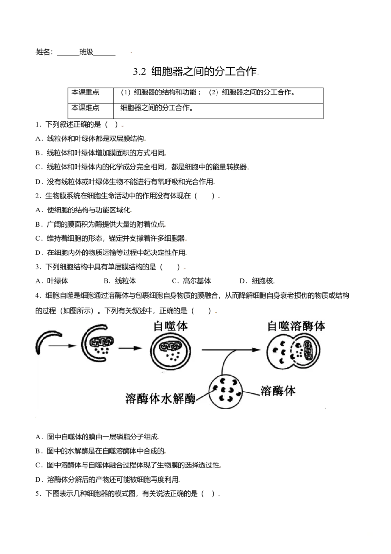 3.2细胞器之间的分工合作-高一生物课后培优练（人教版2019必修1）（原卷版）_高中九科知识点归纳。_人教版高中Word电子版试卷练习试题知识点全科_高中生物试卷习题_生物必修_必修1