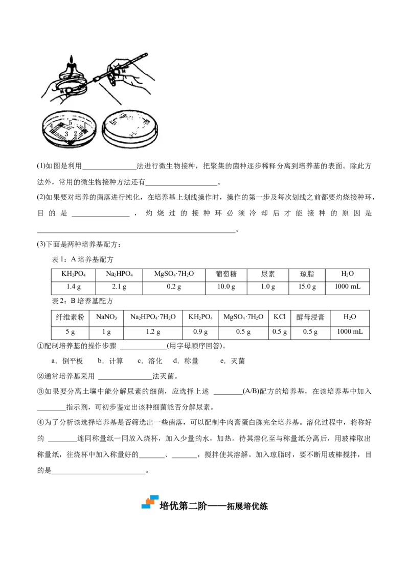 1.2微生物的培养技术和应用-高二生物课后培优分级练（人教版2019选择性必修3）（原卷版）_高中九科知识点归纳。_人教版高中Word电子版试卷练习试题知识点全科_高中生物试卷习题_选修3