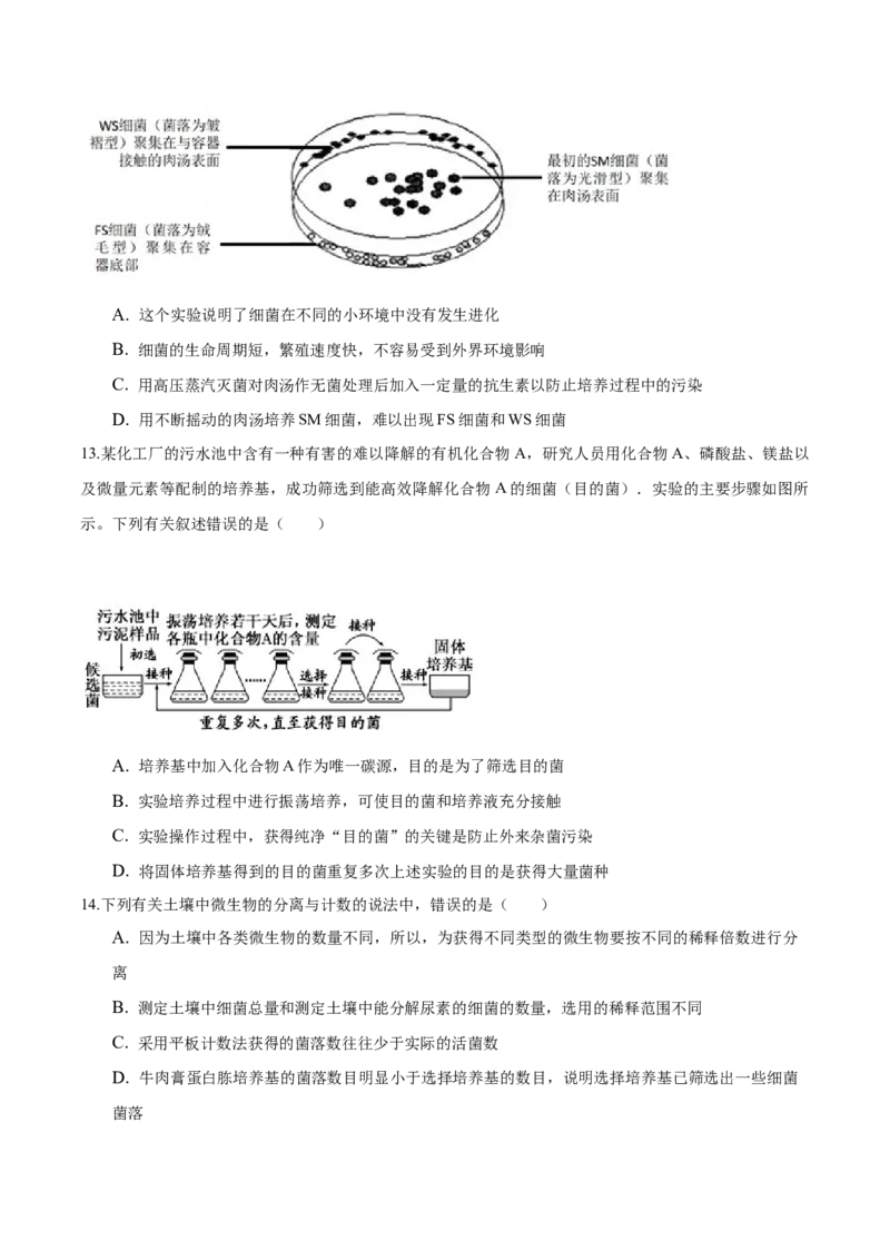 1.2微生物的培养技术和应用-高二生物课后培优分级练（人教版2019选择性必修3）（原卷版）_高中九科知识点归纳。_人教版高中Word电子版试卷练习试题知识点全科_高中生物试卷习题_选修3