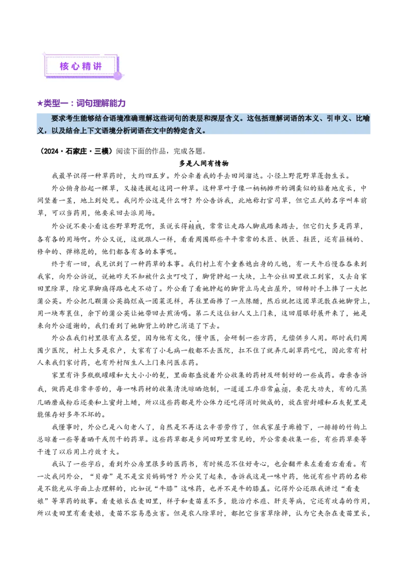 专题10文本理解题（讲义）（原卷版）_01高考语文_52025年新高考资料_二轮复习_01高考语文等多个文件_上好课2025年高考语文二轮复习讲练测（新高考通用）