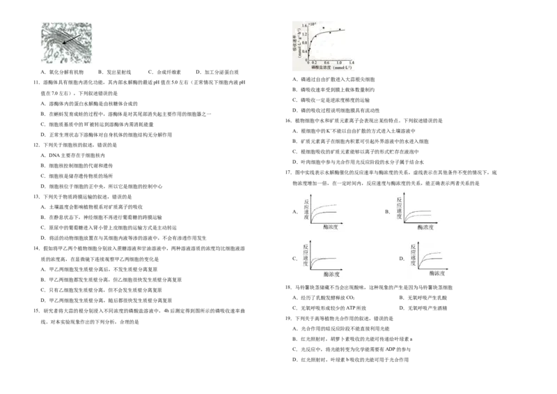 上学期高一期末备考金卷生物（A卷）学生版_高中九科知识点归纳。_人教版高中Word电子版试卷练习试题知识点全科_高中生物试卷习题_生物必修_必修1_1.模拟题