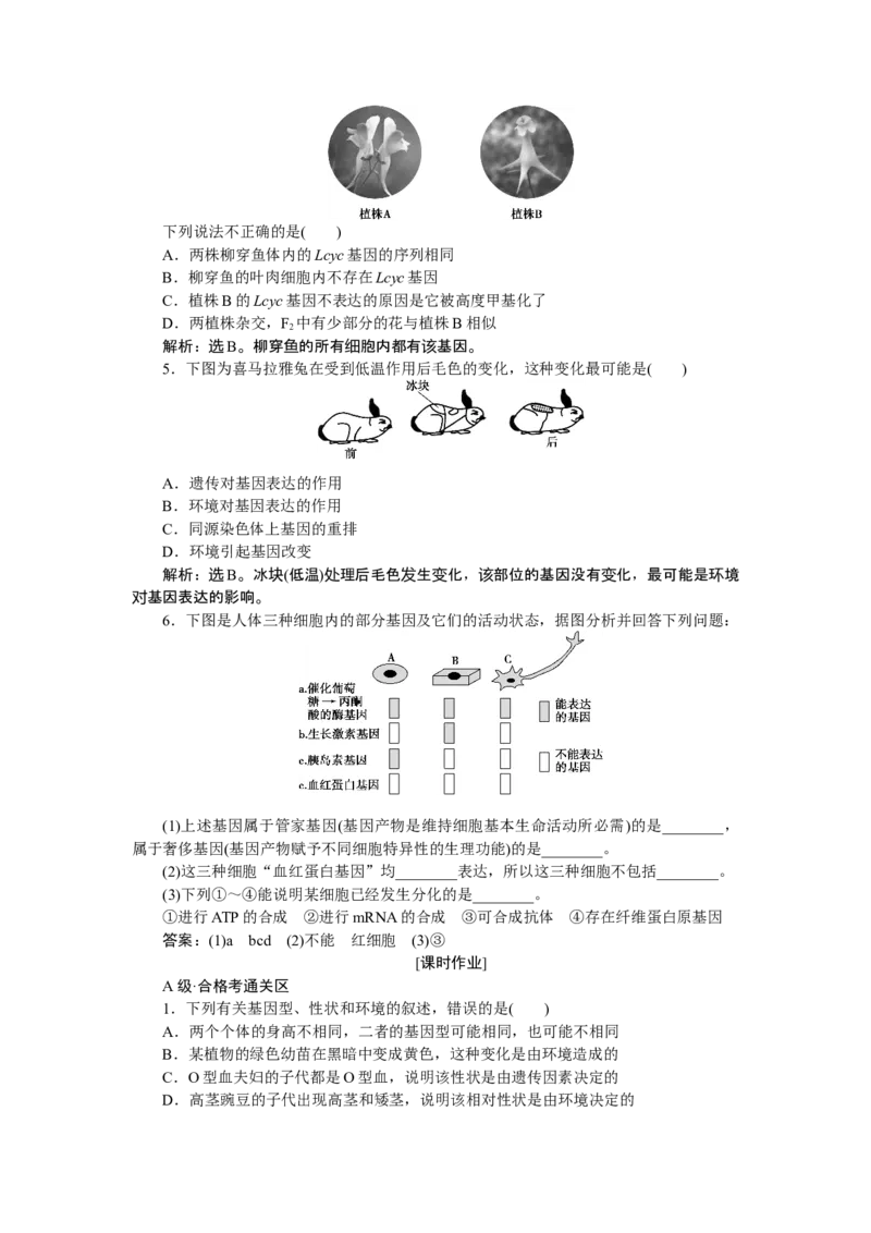 《第2节基因表达与性状的关系》随堂达标检测_高中九科知识点归纳。_人教版高中Word电子版试卷练习试题知识点全科_高中生物试卷习题_生物必修_必修2_1、单元测试_第4章基因的表达