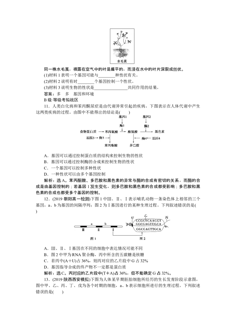 《第2节基因表达与性状的关系》随堂达标检测_高中九科知识点归纳。_人教版高中Word电子版试卷练习试题知识点全科_高中生物试卷习题_生物必修_必修2_1、单元测试_第4章基因的表达