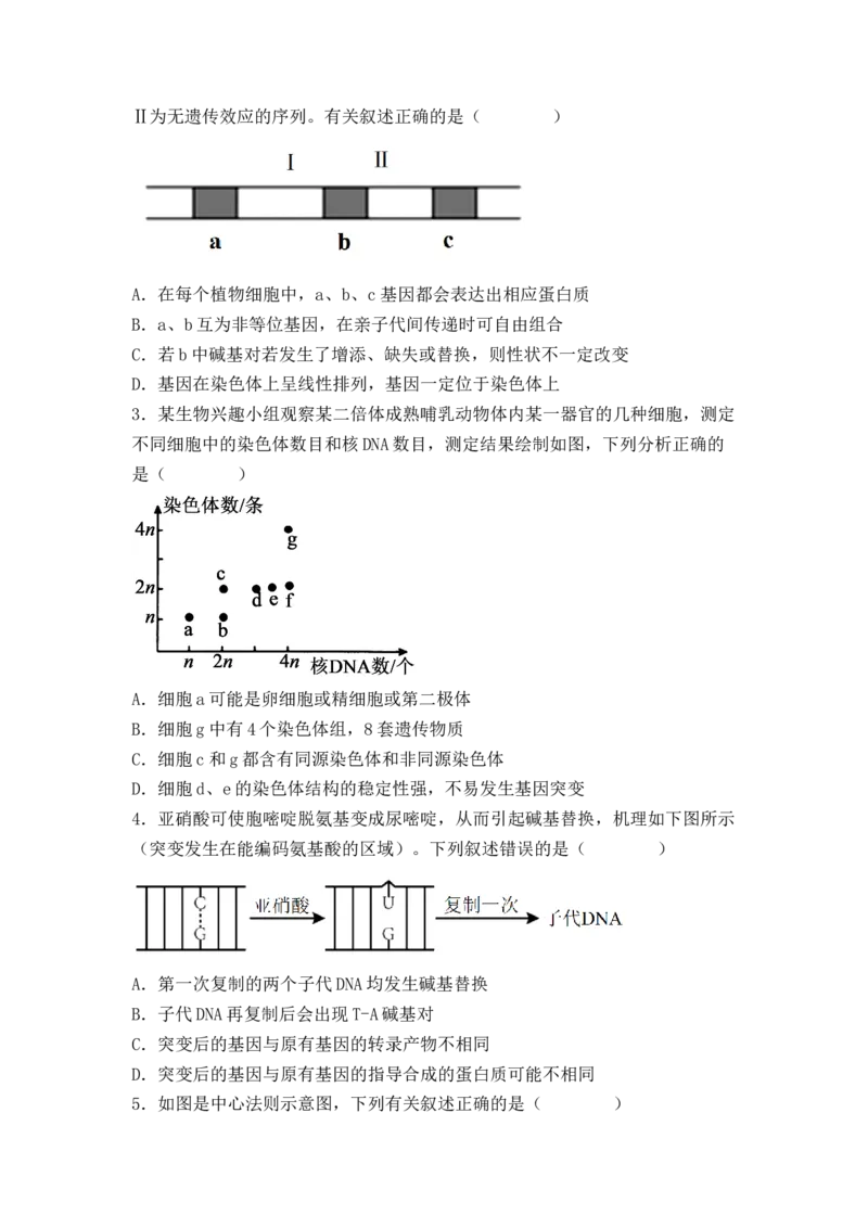 5.1基因突变及其他变异（原卷版）_高中九科知识点归纳。_人教版高中Word电子版试卷练习试题知识点全科_高中生物试卷习题_生物必修_必修2_人教版生物必修二同步练习（057份）