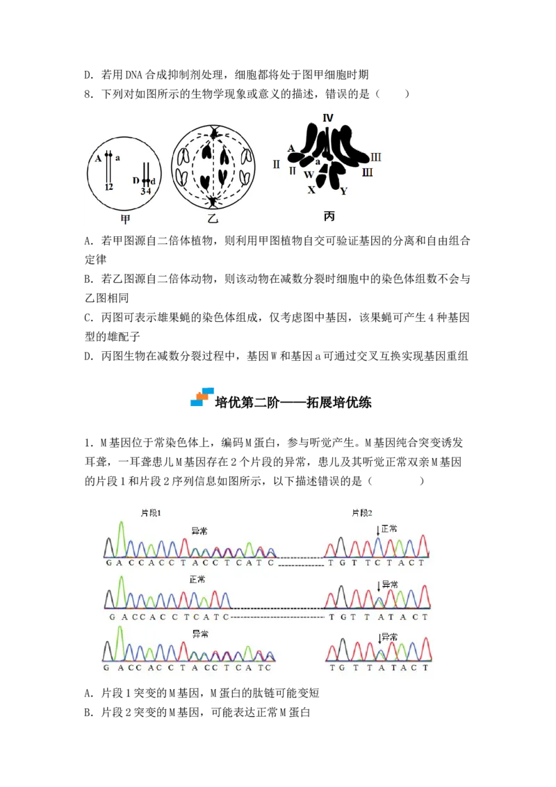 5.1基因突变及其他变异（原卷版）_高中九科知识点归纳。_人教版高中Word电子版试卷练习试题知识点全科_高中生物试卷习题_生物必修_必修2_人教版生物必修二同步练习（057份）