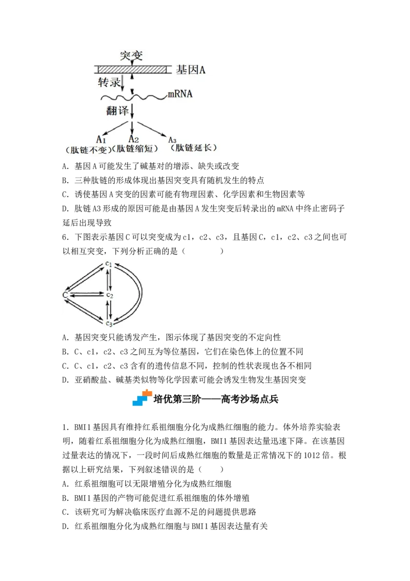 5.1基因突变及其他变异（原卷版）_高中九科知识点归纳。_人教版高中Word电子版试卷练习试题知识点全科_高中生物试卷习题_生物必修_必修2_人教版生物必修二同步练习（057份）