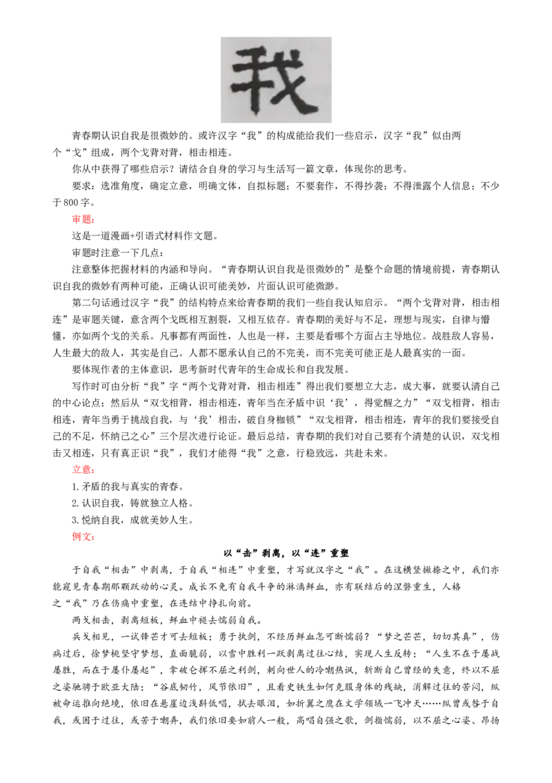 专题31警惕漫画作文&ldquo;再出江湖&rdquo;（讲义）-2024年高考语文二轮复习讲练测（新教材新高考）[h][43443228]_01高考语文_4.22024年新高考资料_2.2024二轮复习