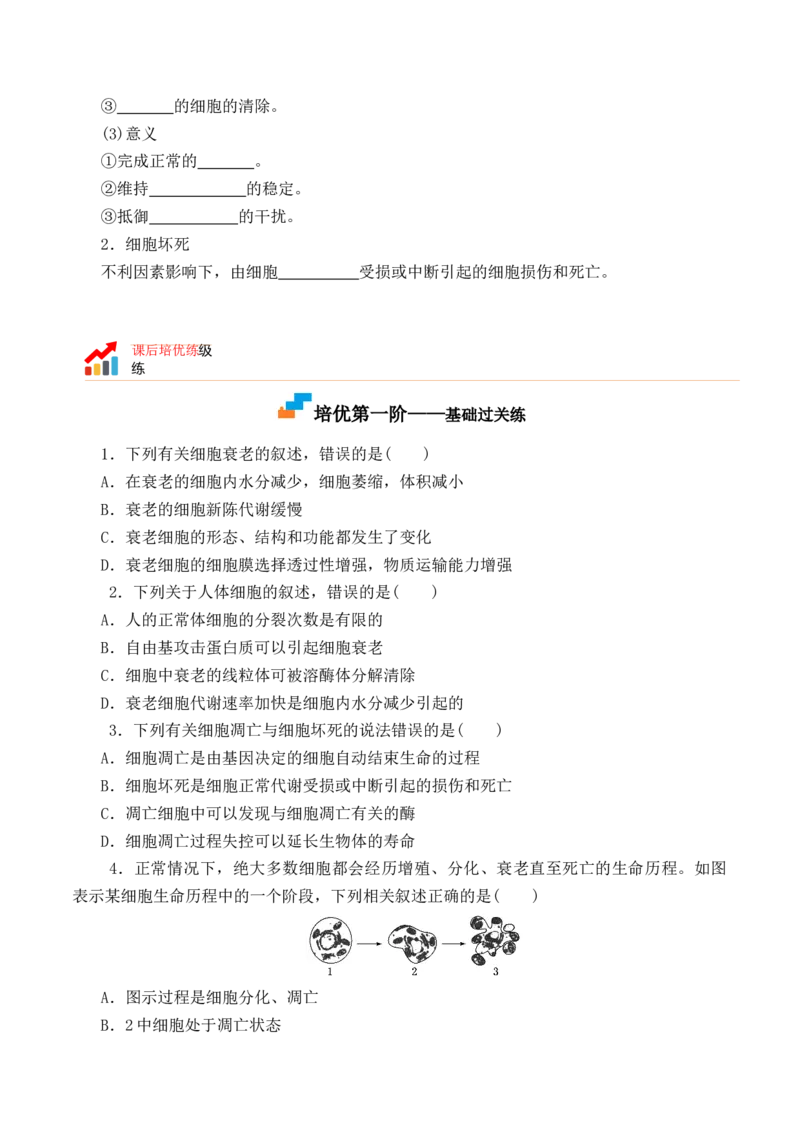 6.3细胞的衰老和死亡-高一生物上学期课后培优分级练（2019人教版必修1）（原卷版）_高中九科知识点归纳。_人教版高中Word电子版试卷练习试题知识点全科_高中生物试卷习题_生物必修