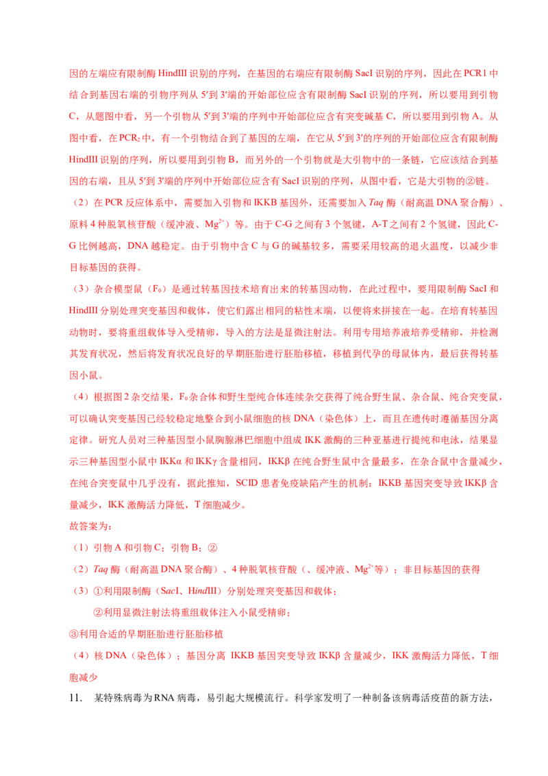 3.2基因工程的基本操作程序-高二生物课后培优分级练（人教版2019选择性必修3）（解析版）_高中九科知识点归纳。_人教版高中Word电子版试卷练习试题知识点全科_高中生物试卷习题_选修3