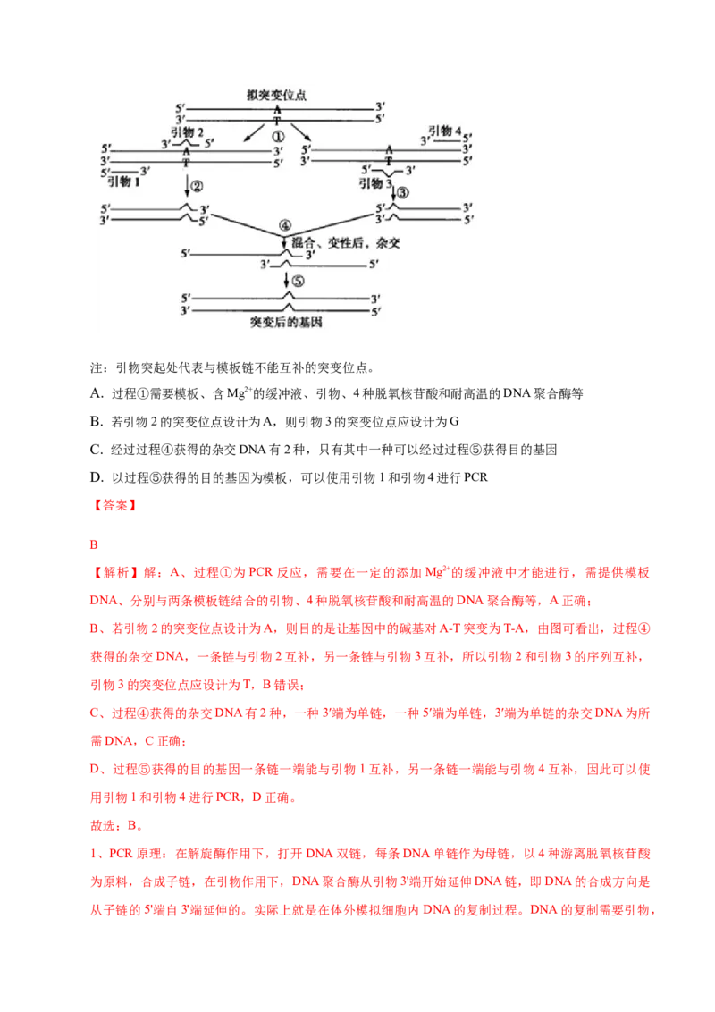 3.2基因工程的基本操作程序-高二生物课后培优分级练（人教版2019选择性必修3）（解析版）_高中九科知识点归纳。_人教版高中Word电子版试卷练习试题知识点全科_高中生物试卷习题_选修3
