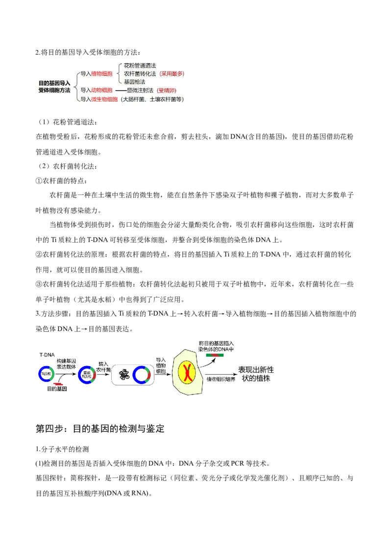 3.2基因工程的基本操作程序-高二生物课后培优分级练（人教版2019选择性必修3）（解析版）_高中九科知识点归纳。_人教版高中Word电子版试卷练习试题知识点全科_高中生物试卷习题_选修3