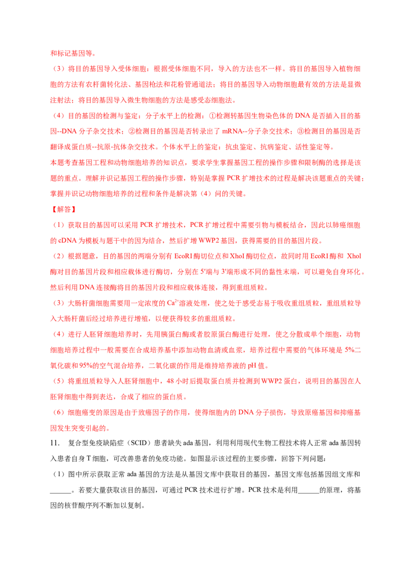 3.2基因工程的基本操作程序-高二生物课后培优分级练（人教版2019选择性必修3）（解析版）_高中九科知识点归纳。_人教版高中Word电子版试卷练习试题知识点全科_高中生物试卷习题_选修3
