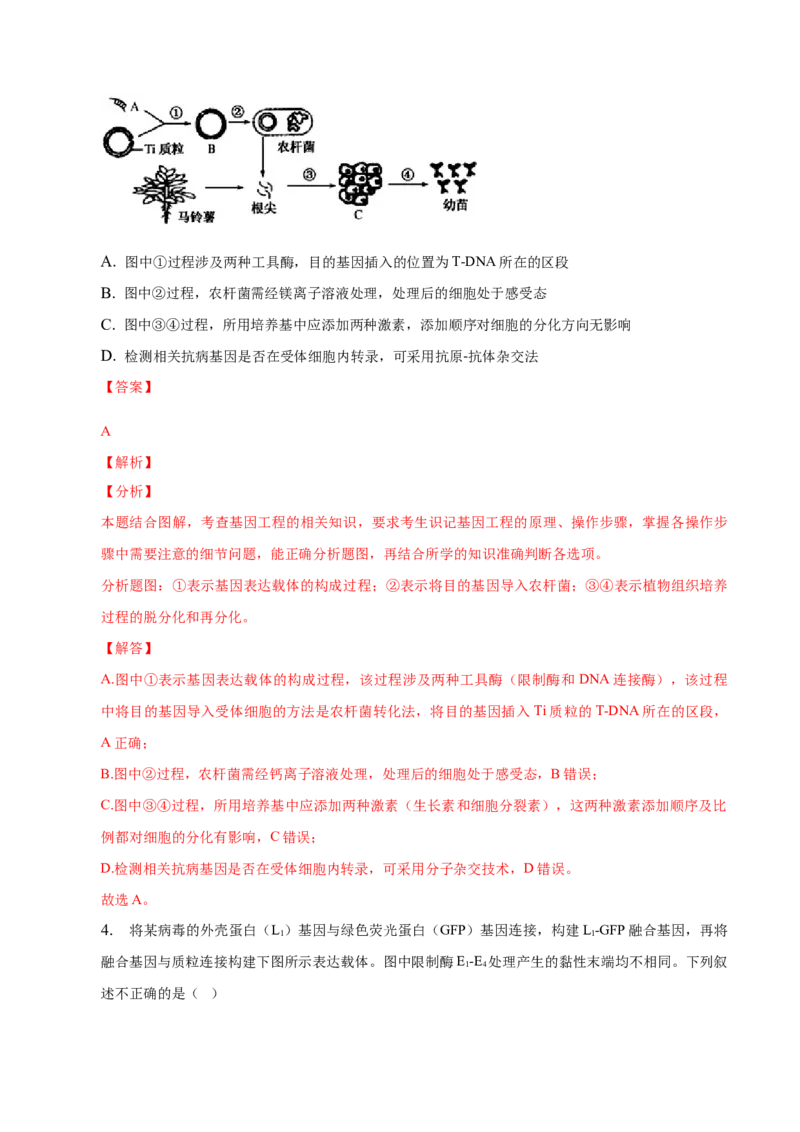 3.2基因工程的基本操作程序-高二生物课后培优分级练（人教版2019选择性必修3）（解析版）_高中九科知识点归纳。_人教版高中Word电子版试卷练习试题知识点全科_高中生物试卷习题_选修3