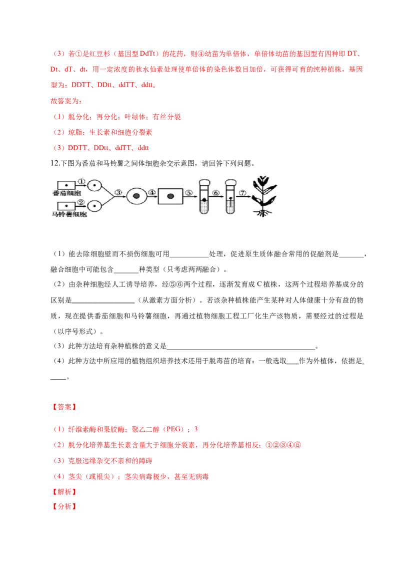 2.1植物细胞工程-高二生物课后培优分级练（人教版2019选择性必修3）（解析版）_高中九科知识点归纳。_人教版高中Word电子版试卷练习试题知识点全科_高中生物试卷习题_生物选修_选修3