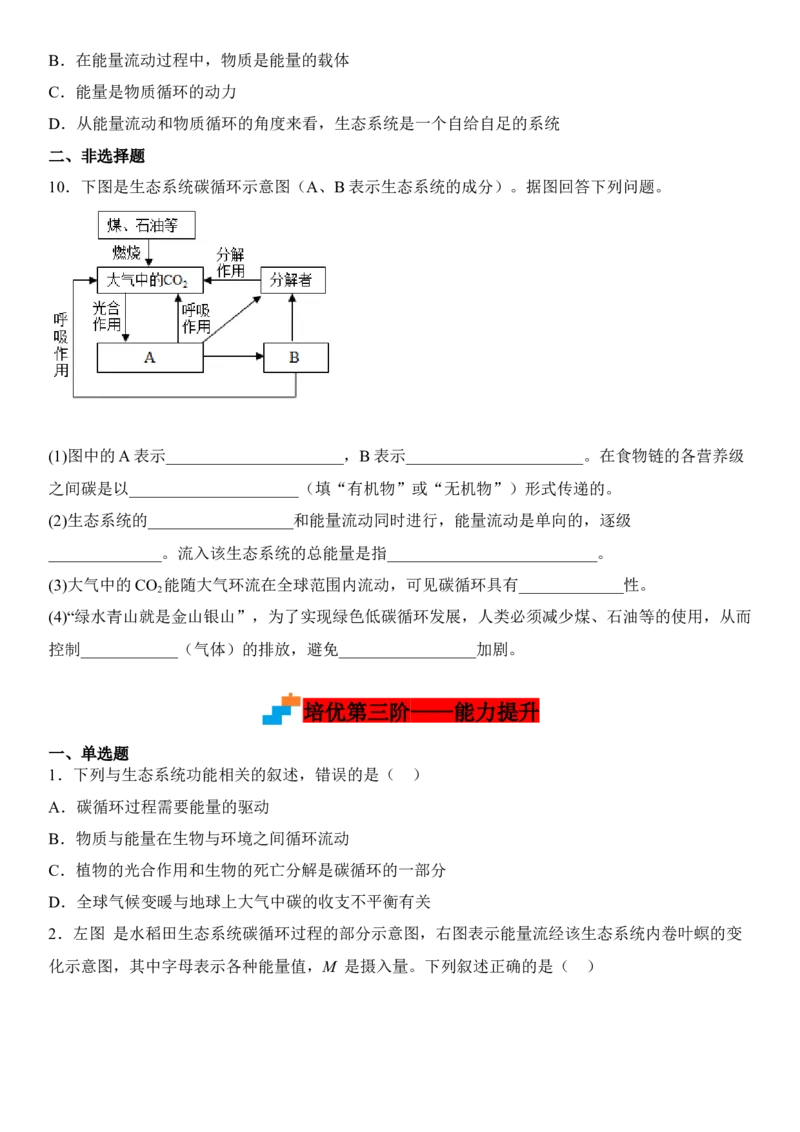 3.3生态系统的物质循环（原卷版）_高中九科知识点归纳。_人教版高中Word电子版试卷练习试题知识点全科_高中生物试卷习题_生物选修_选修2_人教版生物选修二同步练习（048份）