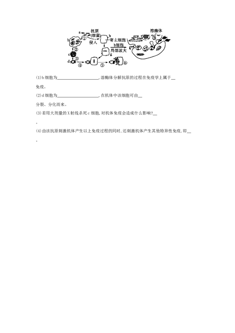 4.2特异性免疫（练习）（原卷版）_高中九科知识点归纳。_人教版高中Word电子版试卷练习试题知识点全科_高中生物试卷习题_生物选修_选修1_人教版生物选修一同步练习（033份）