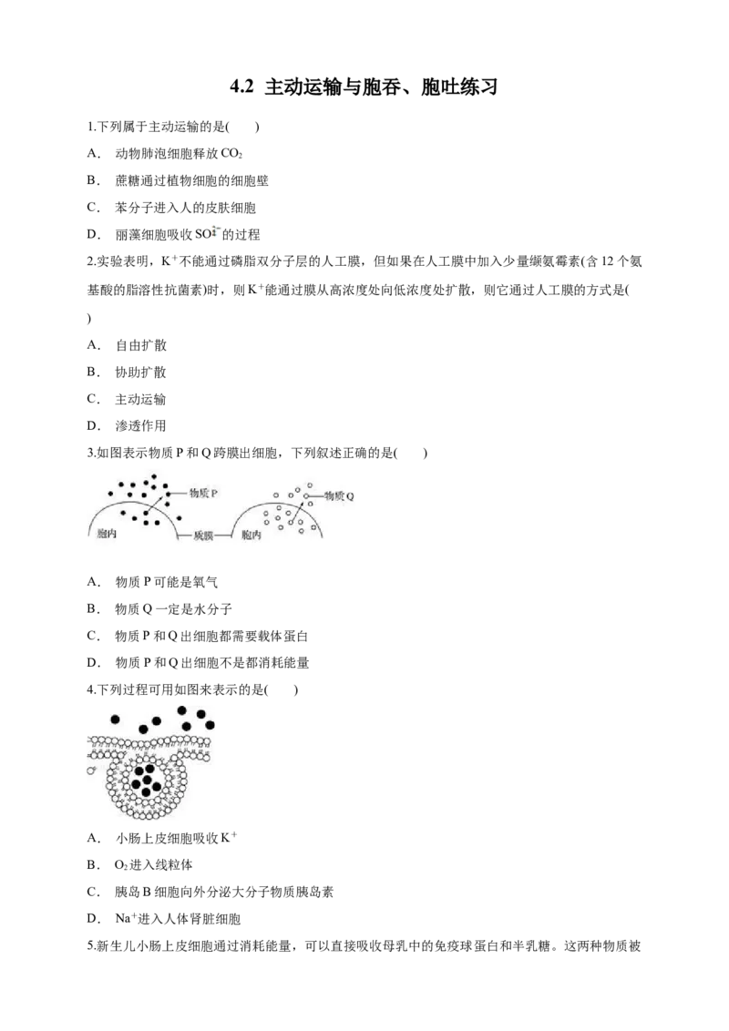 4.2主动运输与胞吞、胞吐练习（1）（原卷版）_高中九科知识点归纳。_人教版高中Word电子版试卷练习试题知识点全科_高中生物试卷习题_生物必修_必修1_2.同步练习（第二套）24份