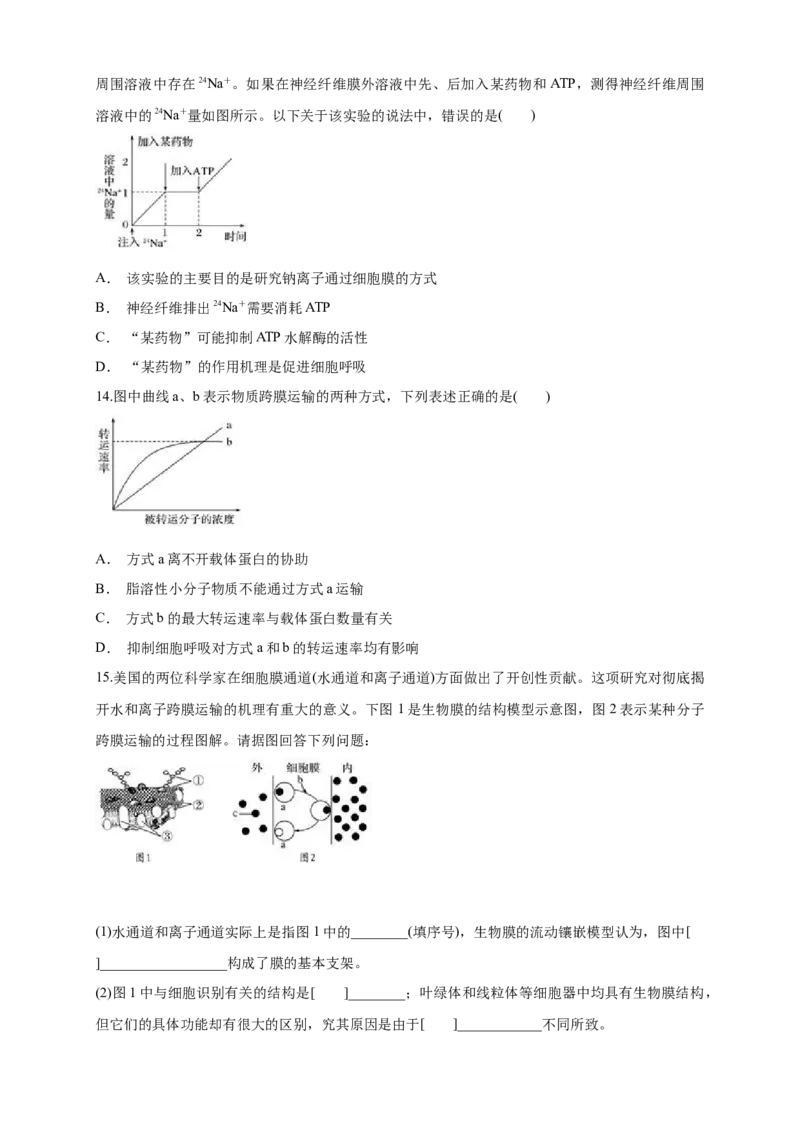 4.2主动运输与胞吞、胞吐练习（1）（原卷版）_高中九科知识点归纳。_人教版高中Word电子版试卷练习试题知识点全科_高中生物试卷习题_生物必修_必修1_2.同步练习（第二套）24份