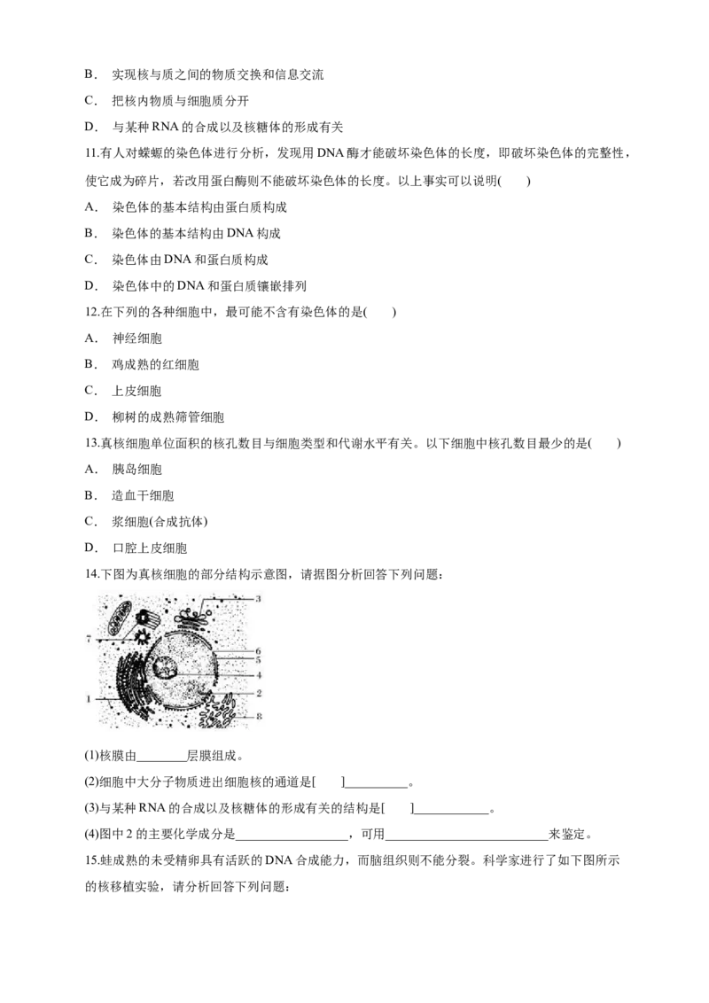 3.3细胞核的结构和功能练习（1）（原卷版）_高中九科知识点归纳。_人教版高中Word电子版试卷练习试题知识点全科_高中生物试卷习题_生物必修_必修1_2.同步练习（第二套）24份