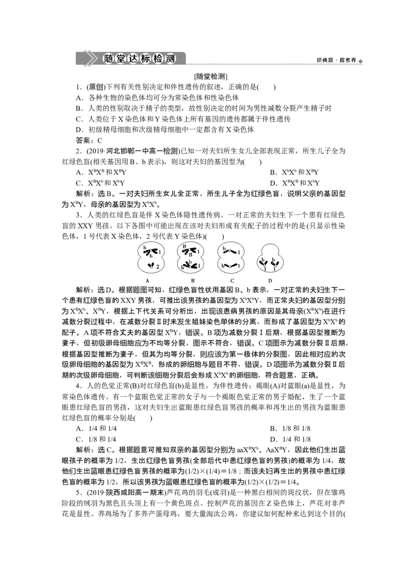 《第3节伴性遗传》课时练习02_高中九科知识点归纳。_人教版高中Word电子版试卷练习试题知识点全科_高中生物试卷习题_生物必修_必修2_人教版生物必修二单元测试（012份）