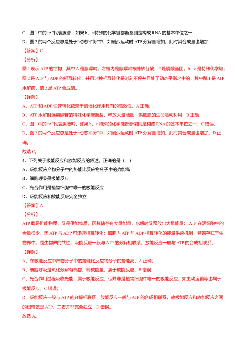 5.2细胞的能量&ldquo;货币&rdquo;&mdash;&mdash;ATP-高一生物课后培优练（人教版2019必修1）（解析版）_高中九科知识点归纳。_人教版高中Word电子版试卷练习试题知识点全科_高中生物试卷习题_生物必修_必修1