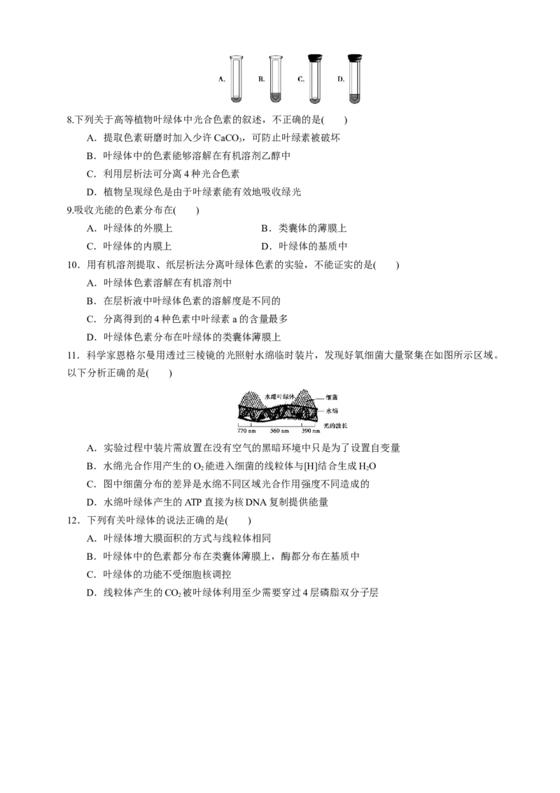 5.4.1光合作用与能量转化练习（1）（原卷版）_高中九科知识点归纳。_人教版高中Word电子版试卷练习试题知识点全科_高中生物试卷习题_生物必修_必修1_2.同步练习（第二套）24份