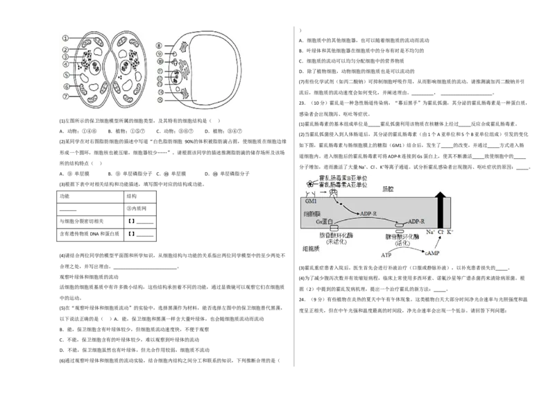2022-2023学年高一生物上学期期末考前必刷卷02（人教版2019）（考试版）_高中九科知识点归纳。_人教版高中Word电子版试卷练习试题知识点全科_高中生物试卷习题_生物必修_必修1_1.模拟题